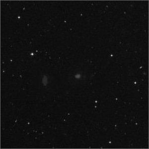 NGC 5981 visuell